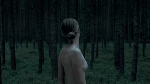 Susanne Wuest - Nude Butt Scenes in Goodnight Mommy (2014)